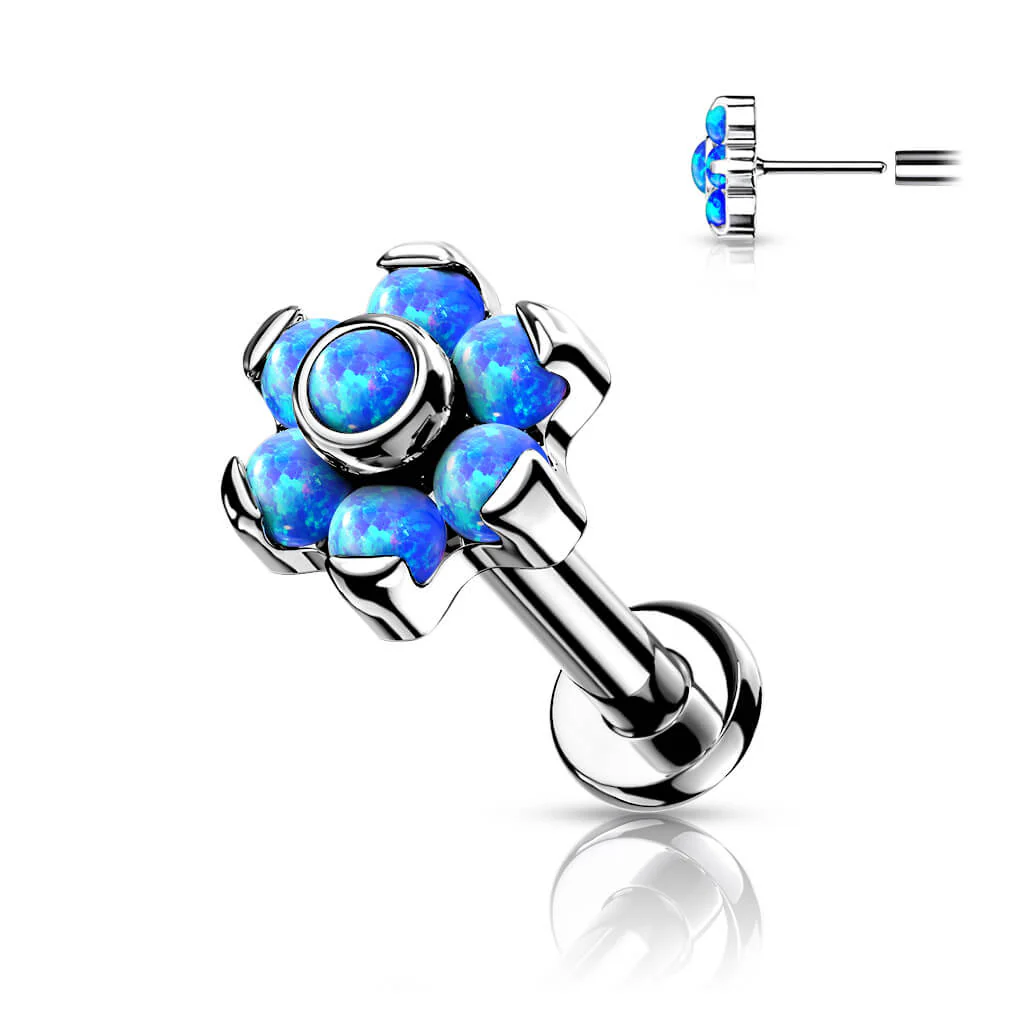 Miniature 2