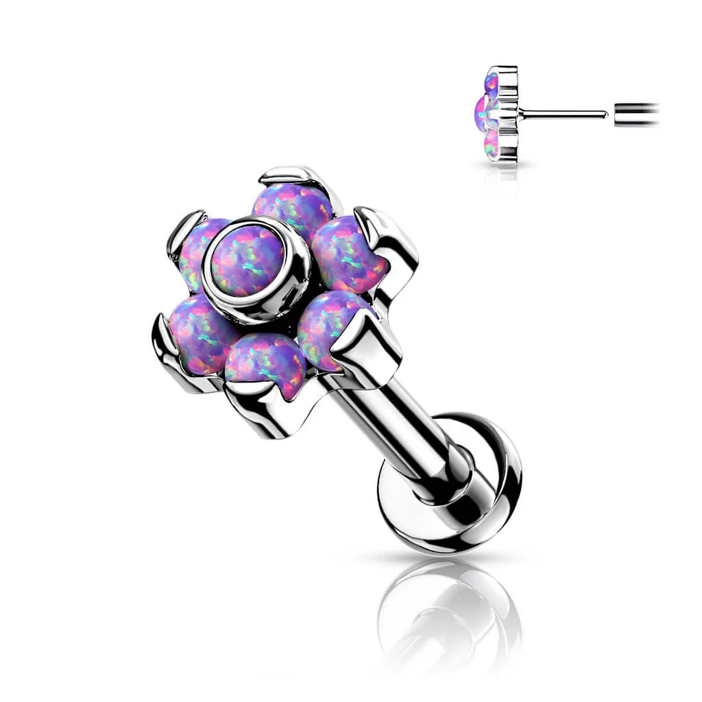 Image du produit 8