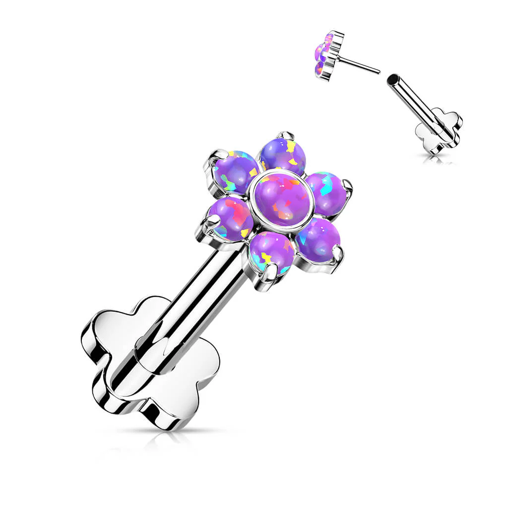 Image du produit 7