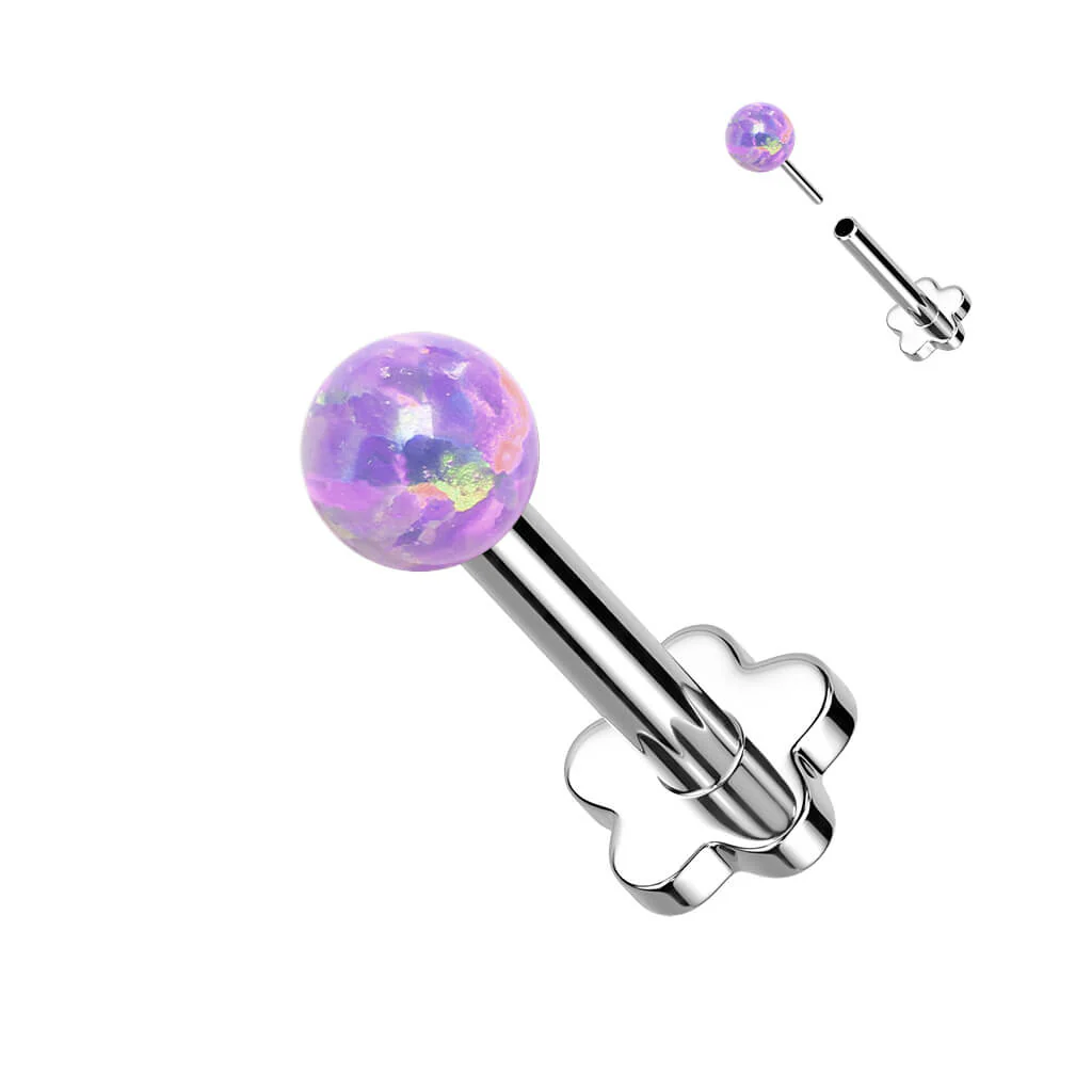 Image du produit 6
