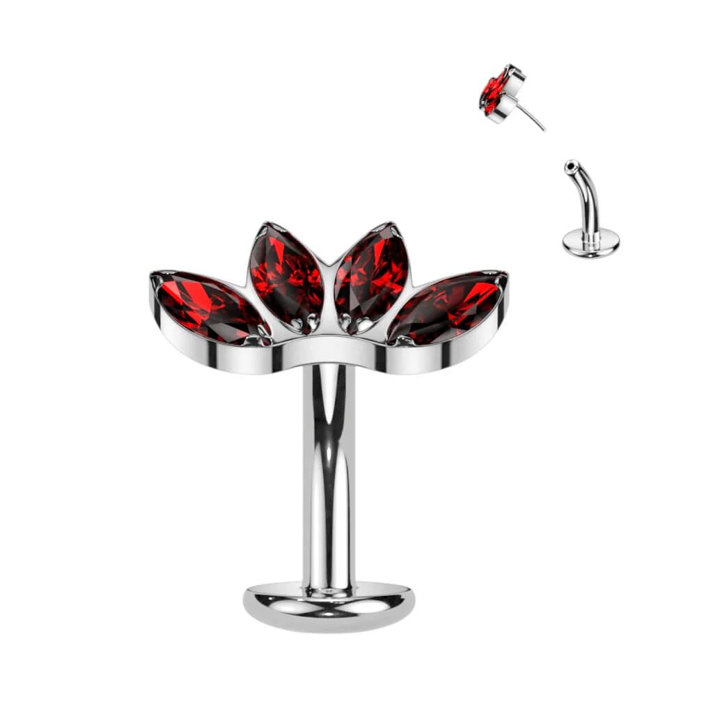 Image du produit 8