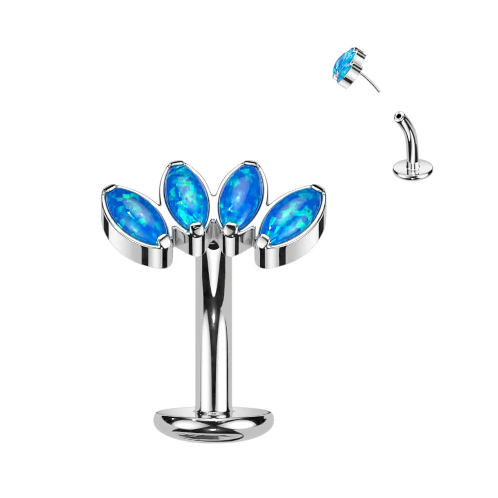 Miniature 2