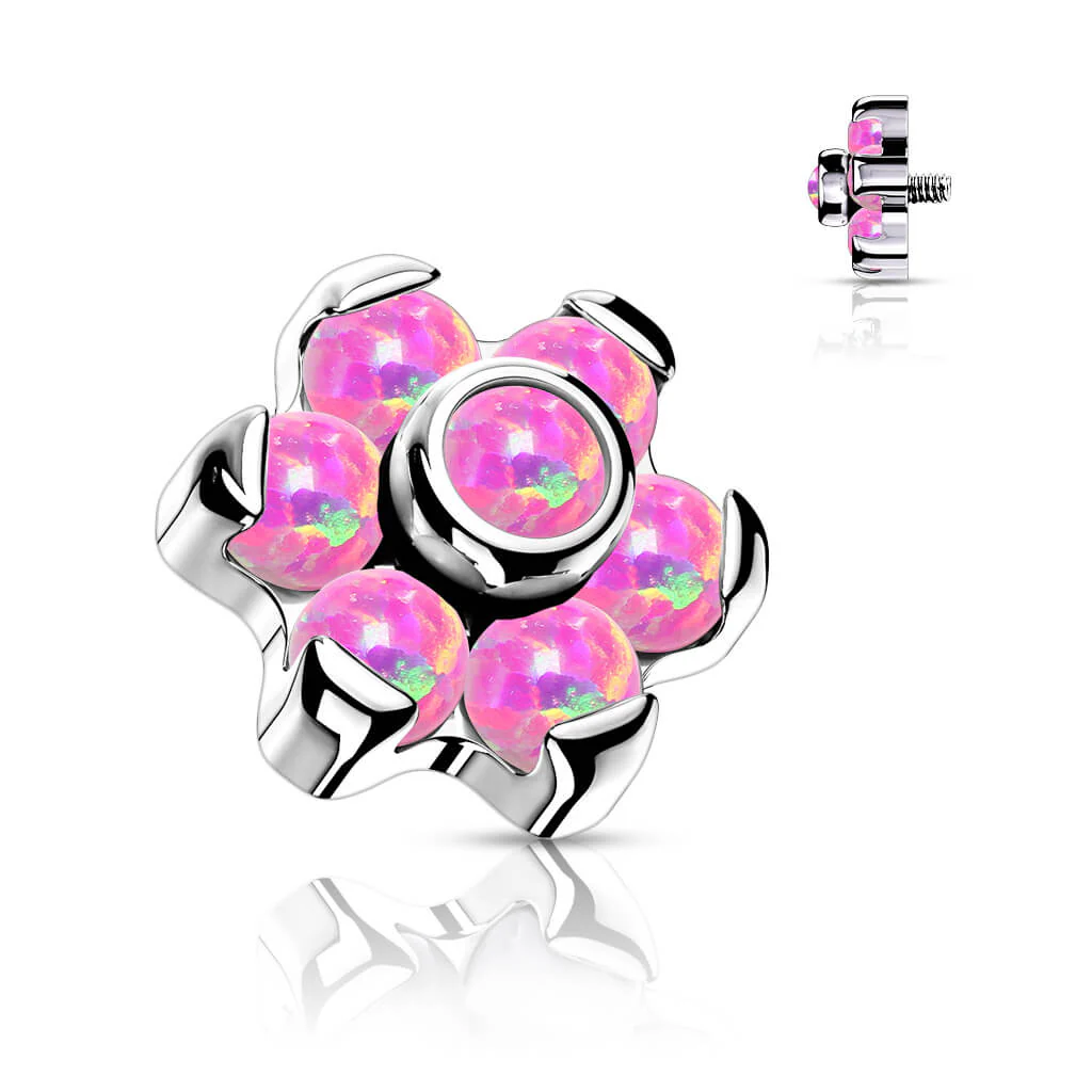 Image du produit 6