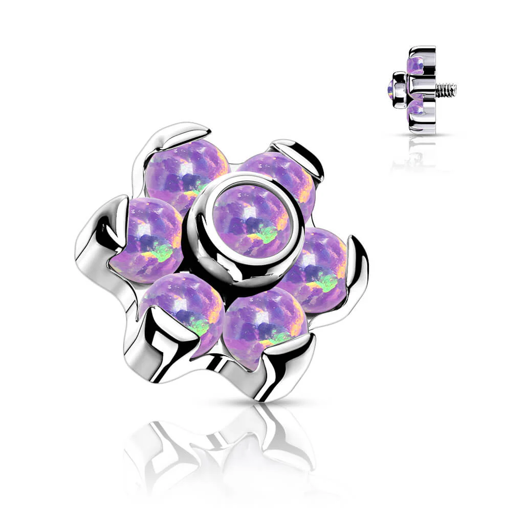 Image du produit 8