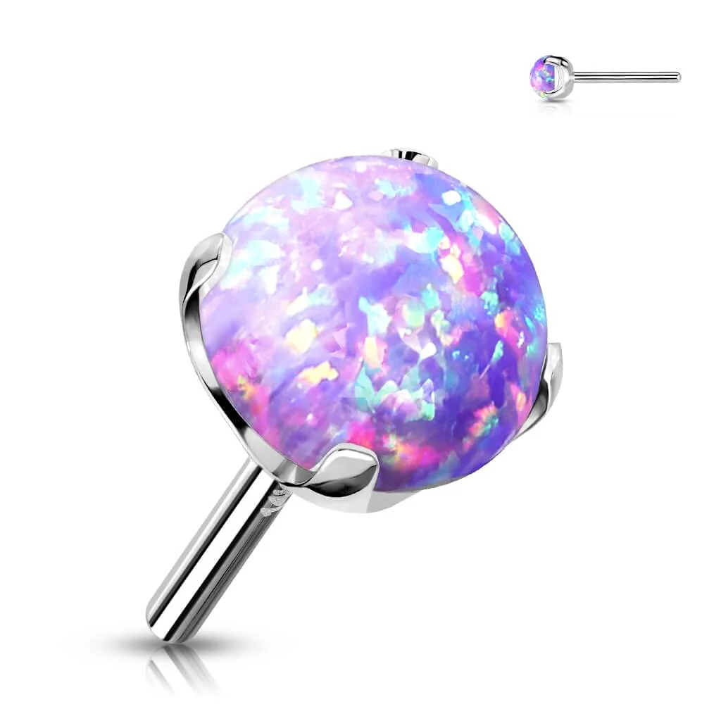 Image du produit 7
