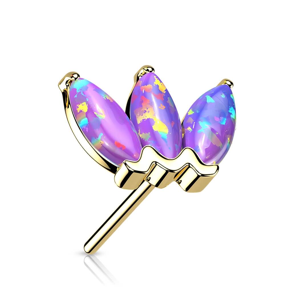 Image du produit 12