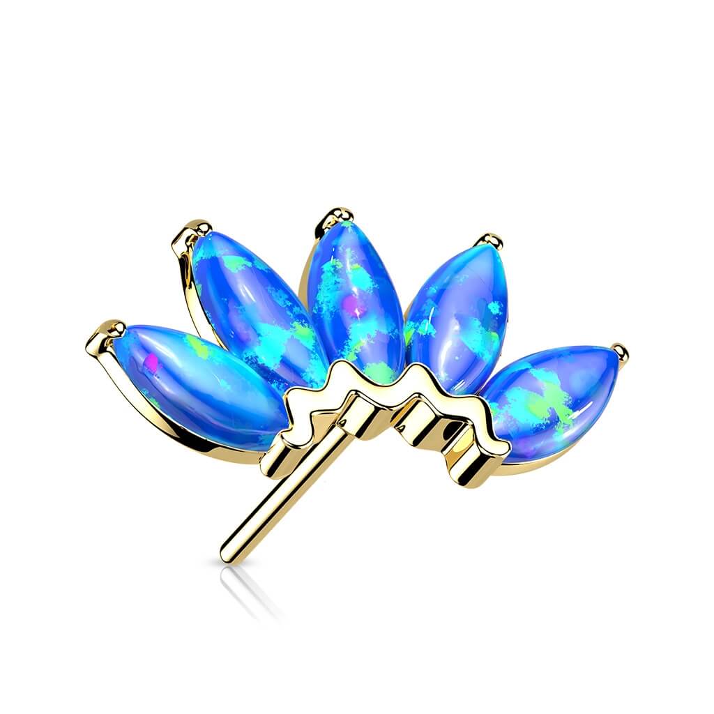 Image du produit 8