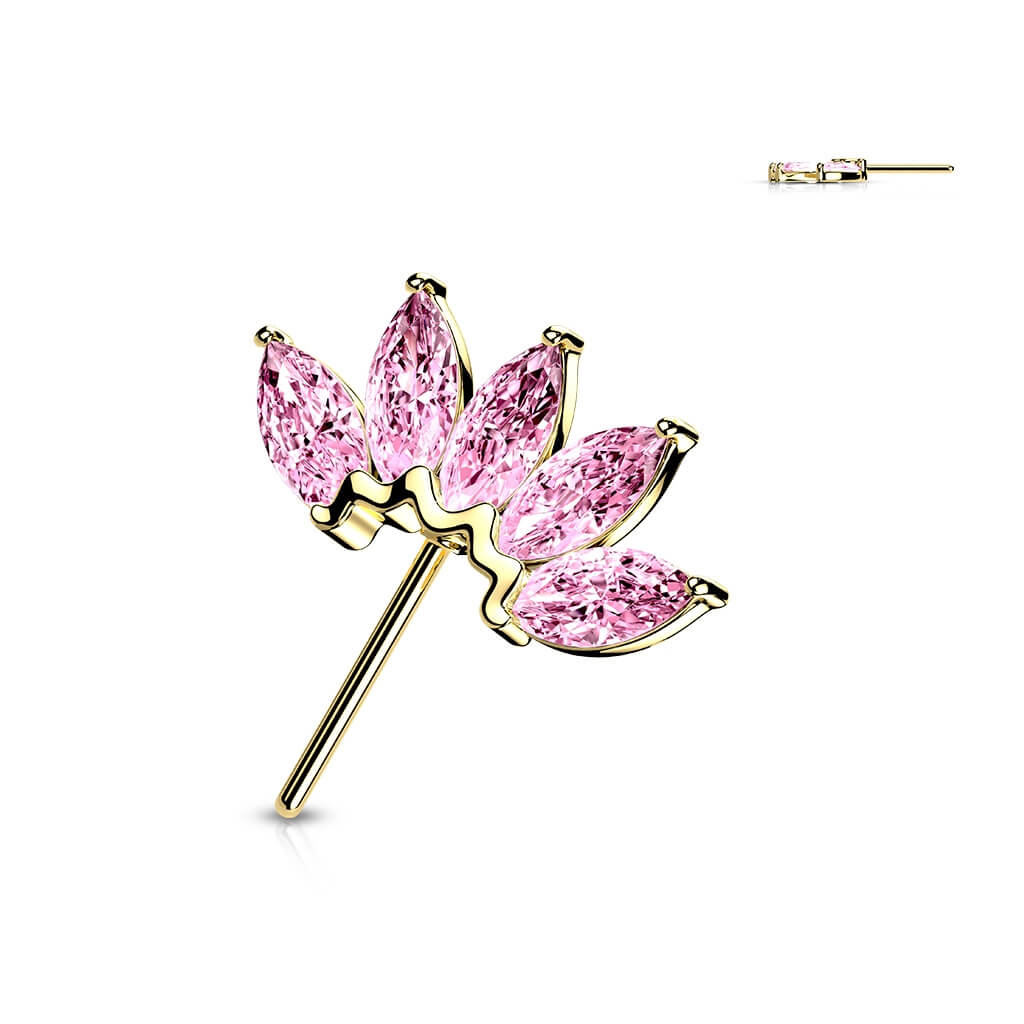 Image du produit 12