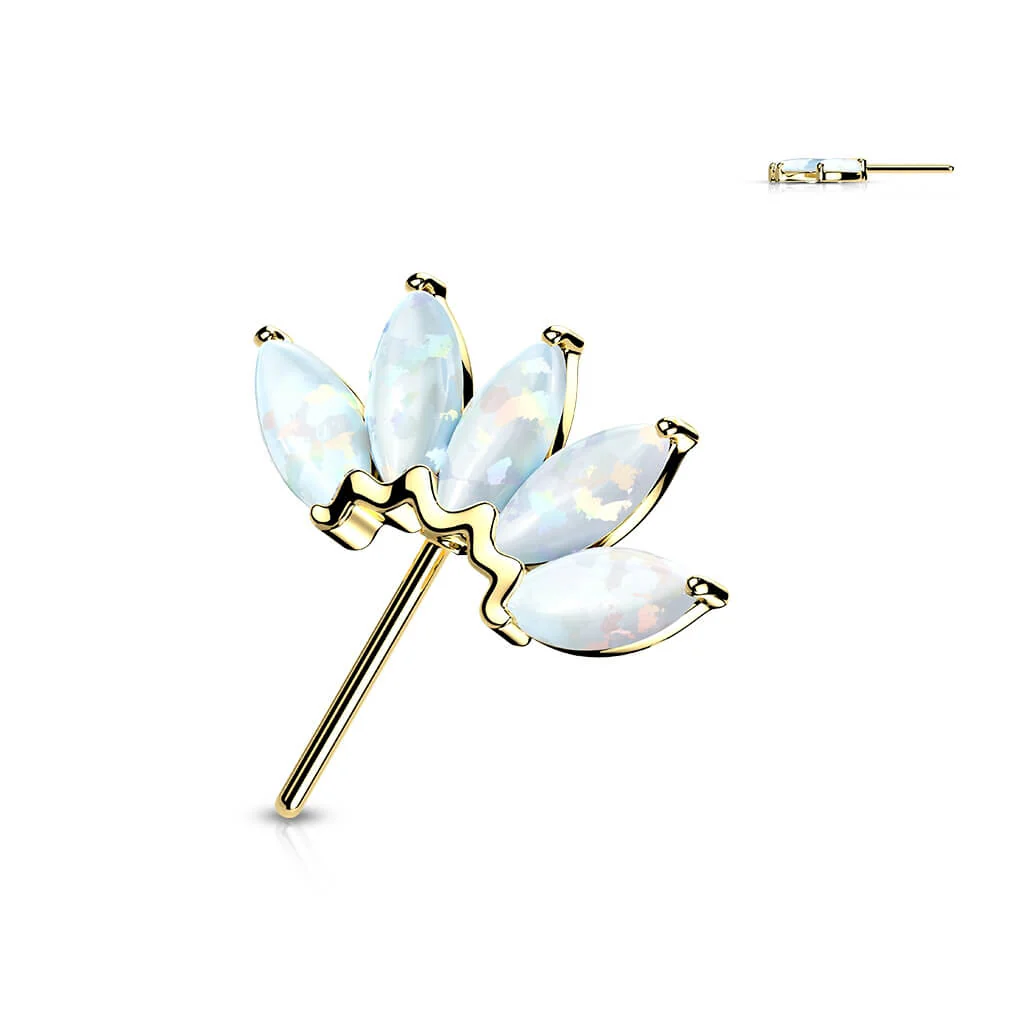 Image du produit 10