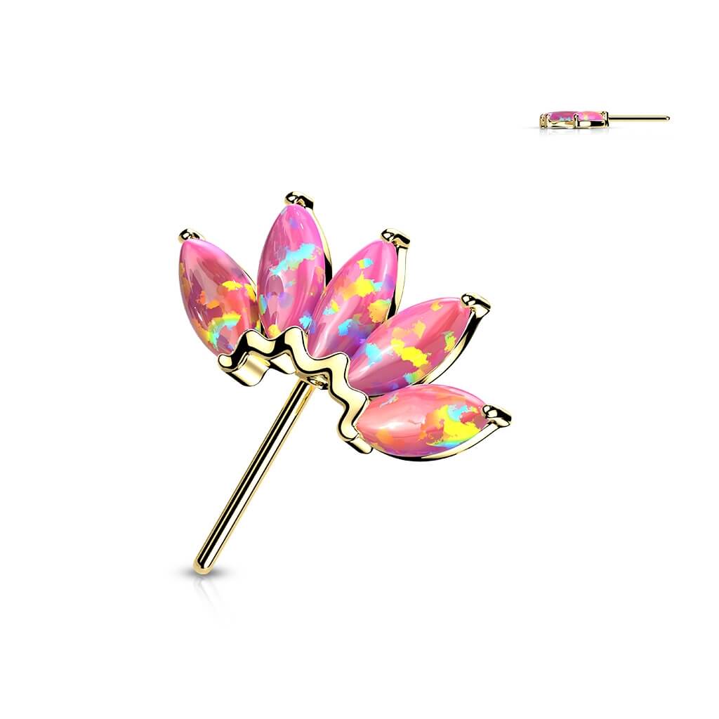 Image du produit 11