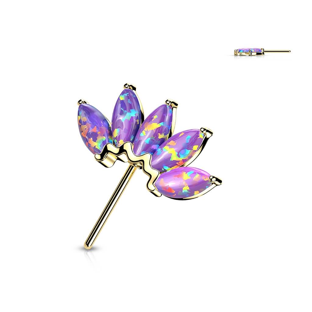 Image du produit 12