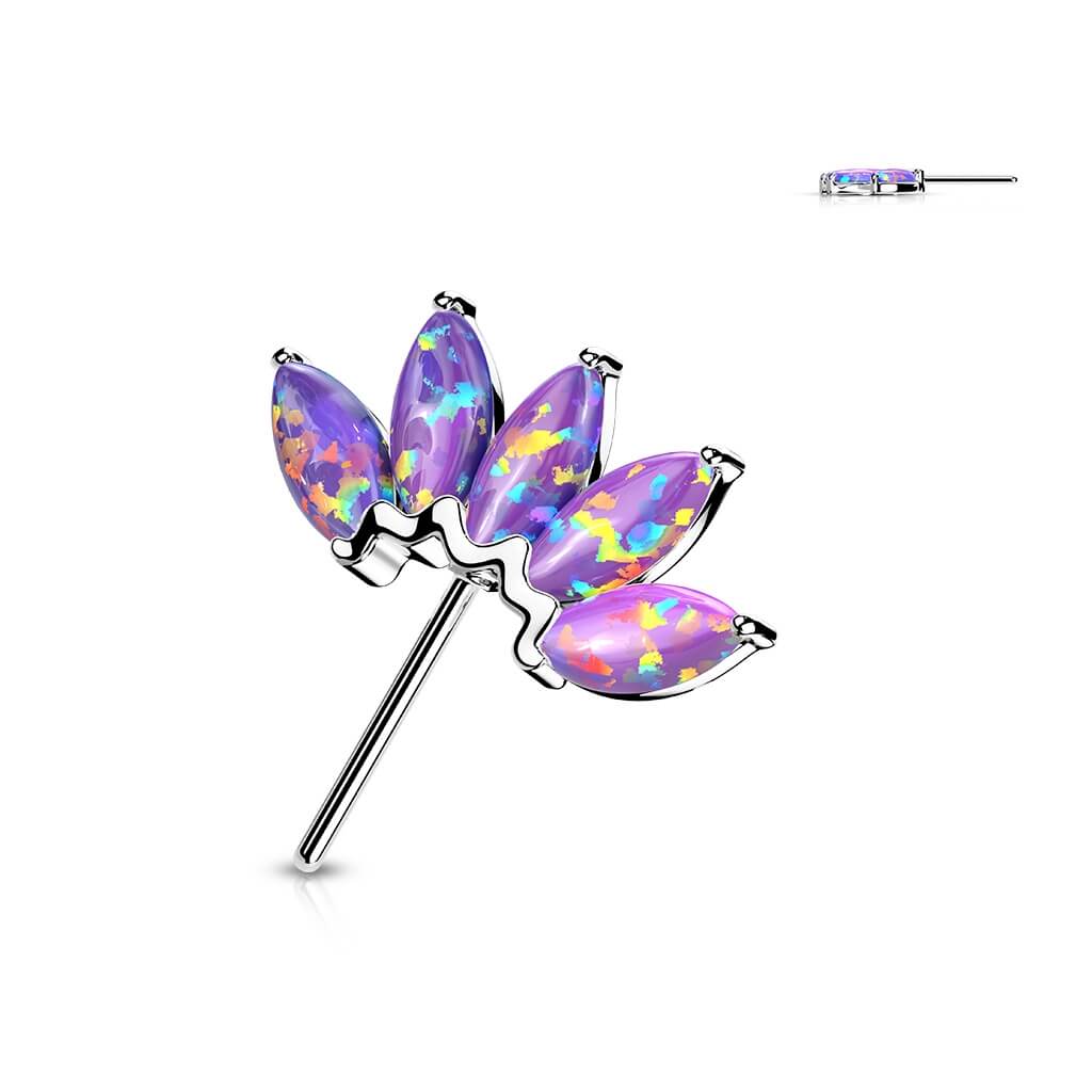Image du produit 8