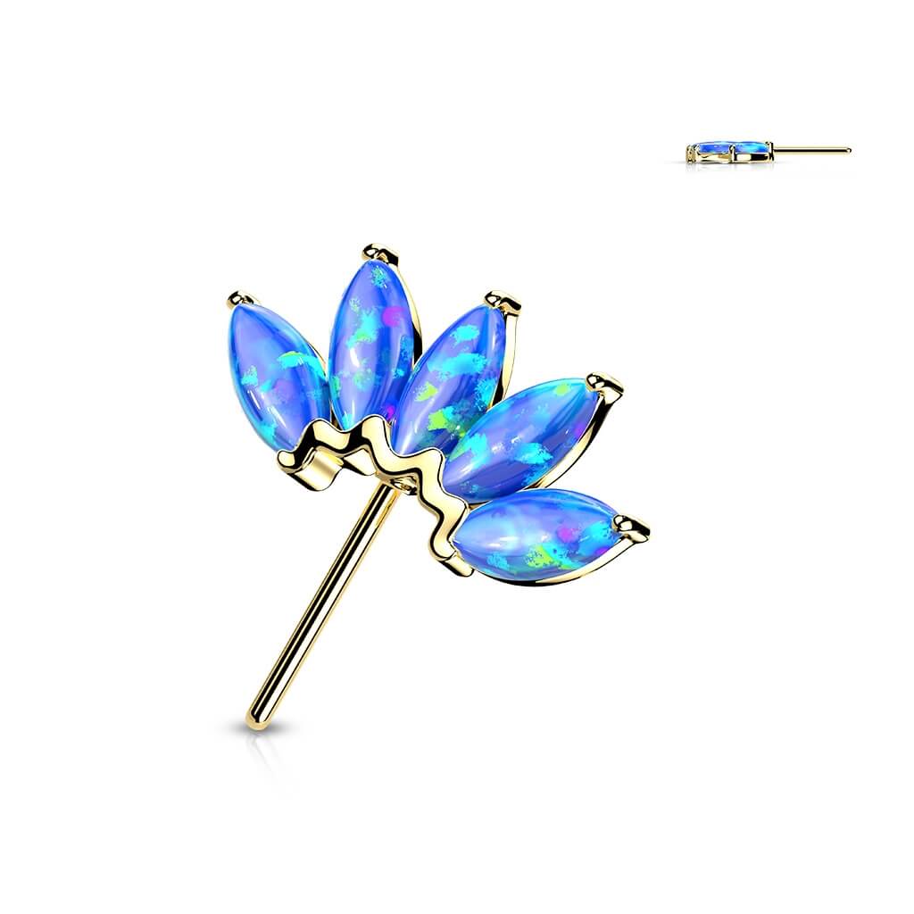 Image du produit 9