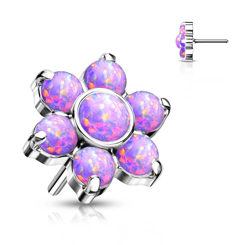 Image du produit 8