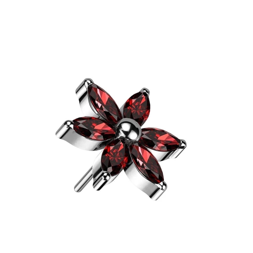 Image du produit 6